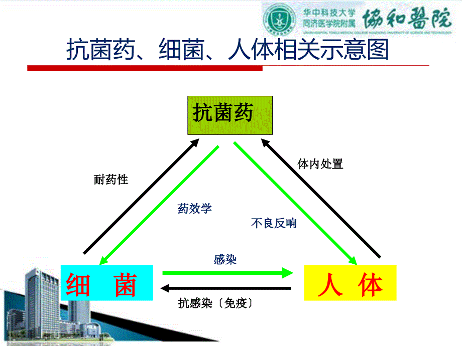 抗菌药物的药学特征--协和医院 课件_第4页