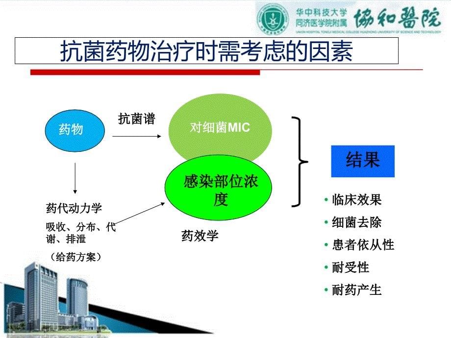 抗菌药物的药学特征--协和医院 课件_第5页