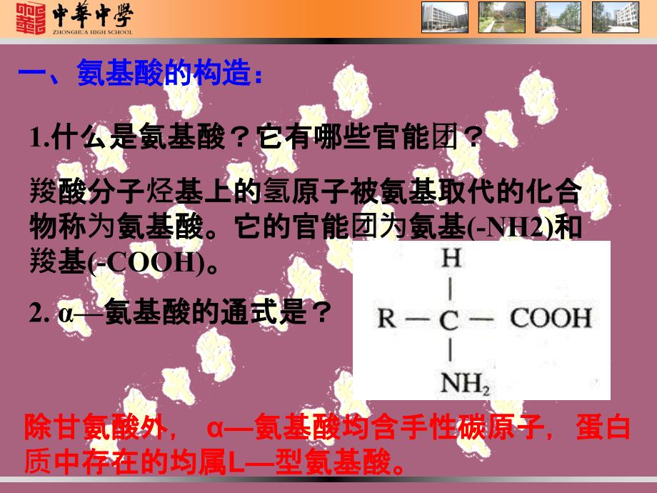 蛋白质和核酸第一课时ppt课件_第3页