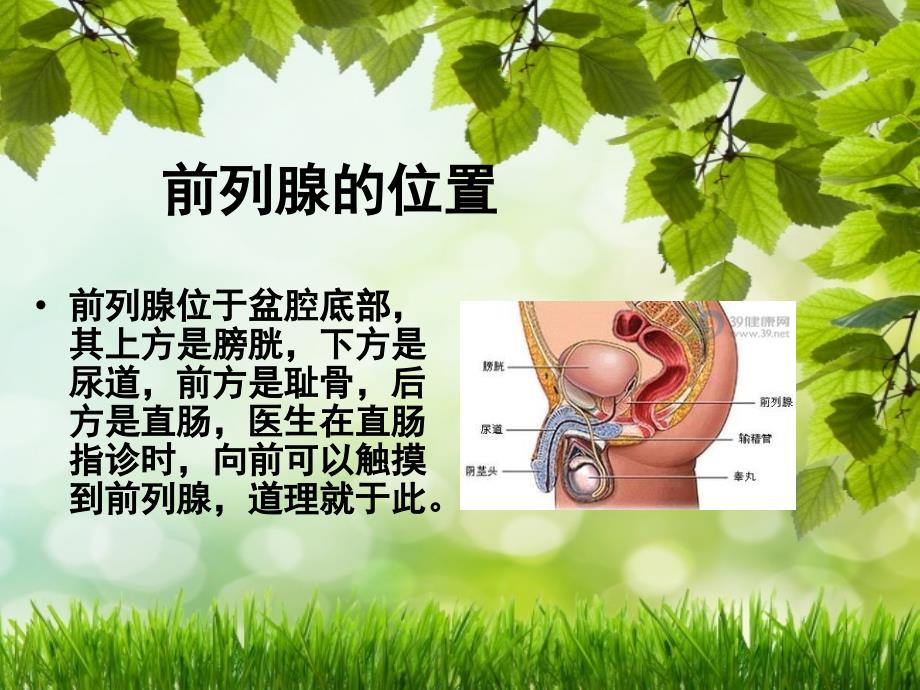 前列腺增生的健康教育_第2页