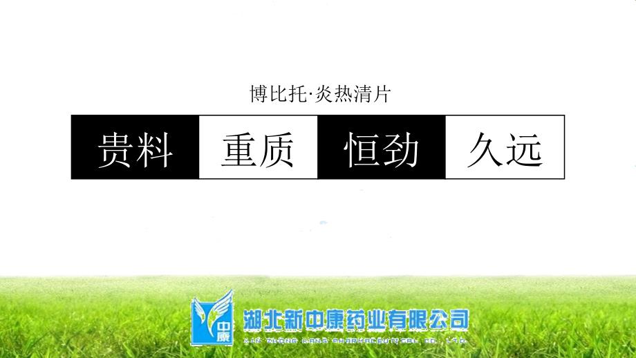 博比托&#183;炎热清片开票员培训系统.ppt_第2页