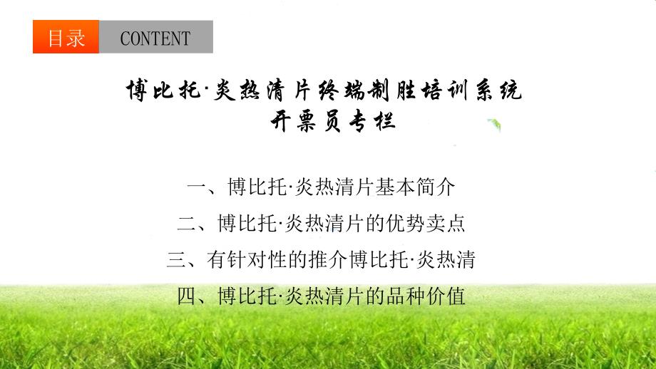 博比托&#183;炎热清片开票员培训系统.ppt_第3页