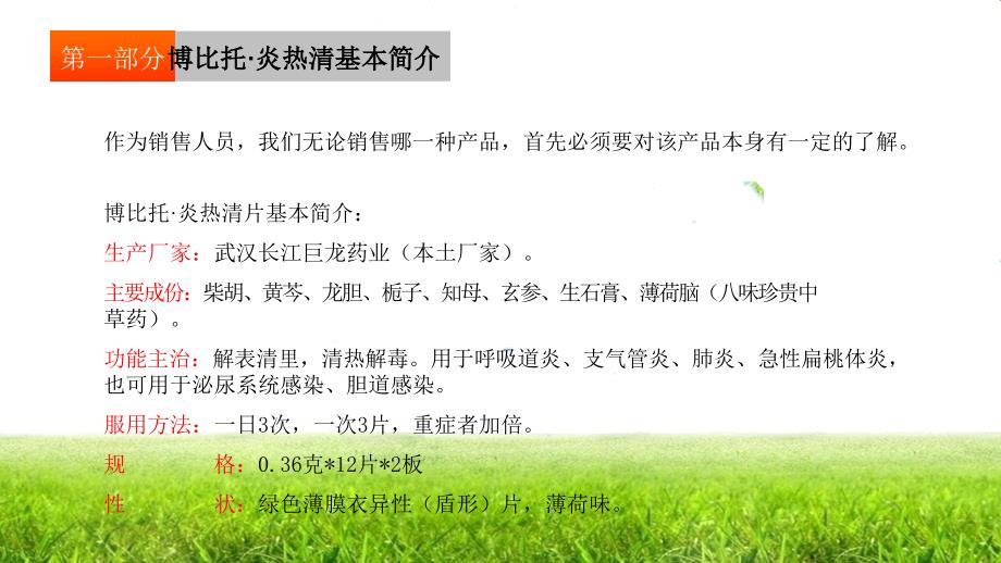 博比托&#183;炎热清片开票员培训系统.ppt_第4页