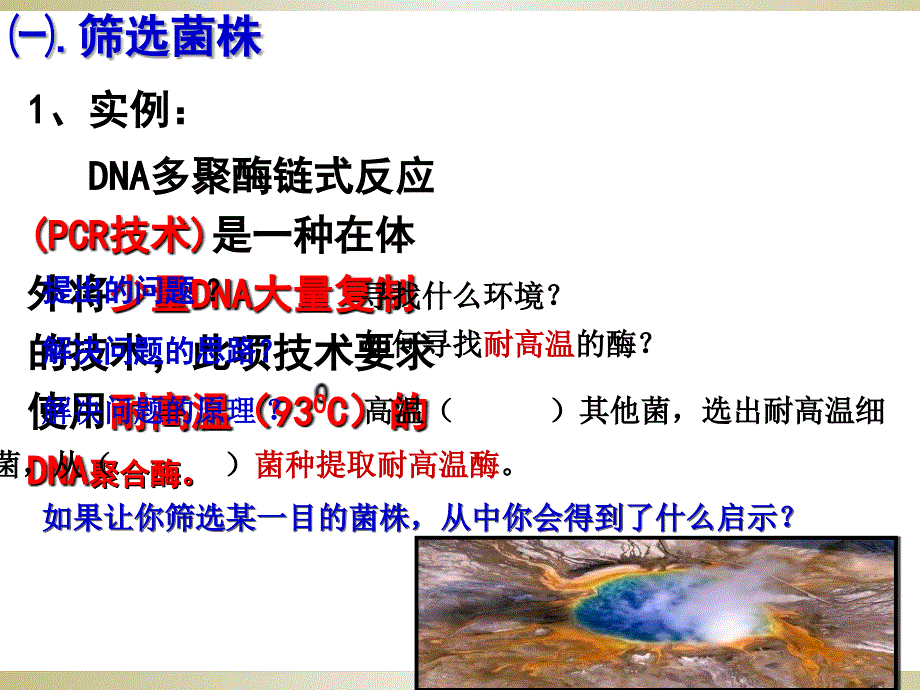 2.2土壤中分解尿素的细菌的分离与计数_第3页