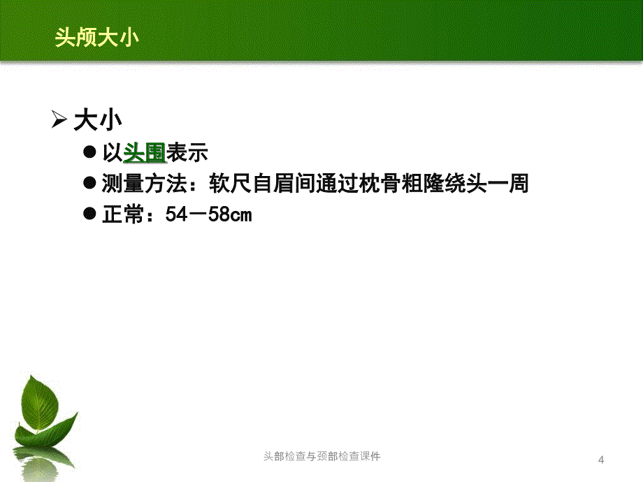 头部检查与颈部检查课件_第4页