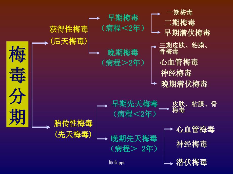 最新梅毒.pptPPT_第3页