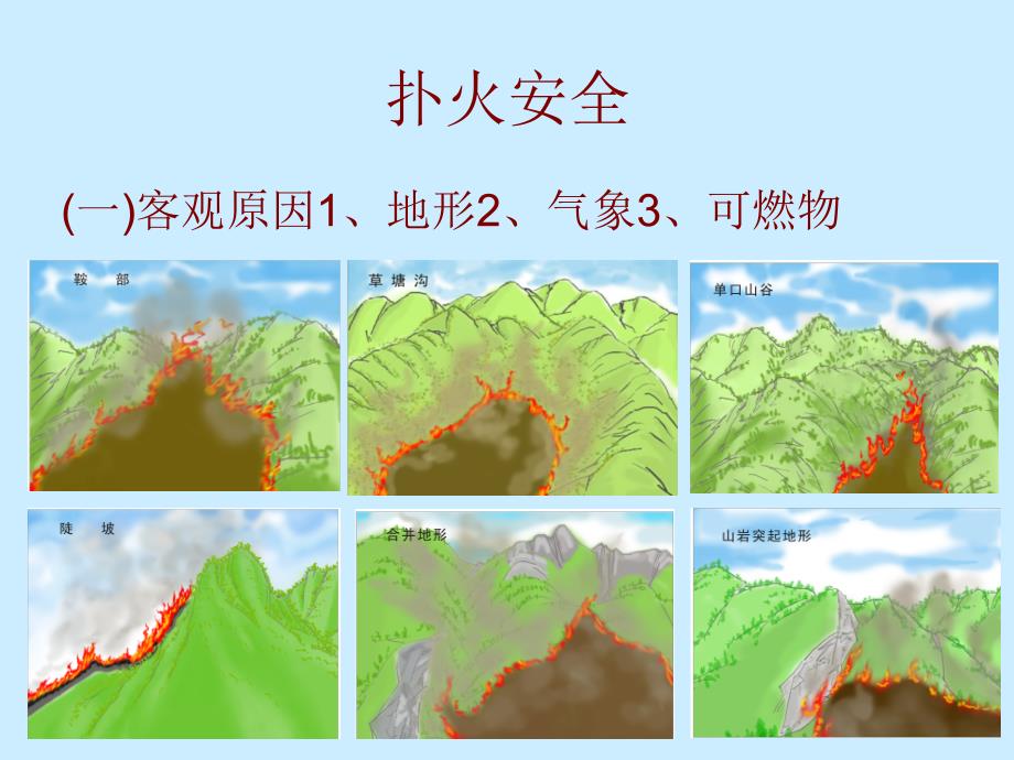 森林火灾扑救安全知识培训讲座_第3页