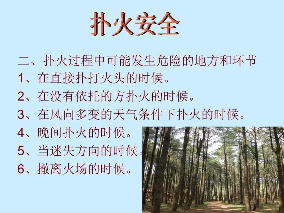 森林火灾扑救安全知识培训讲座_第5页