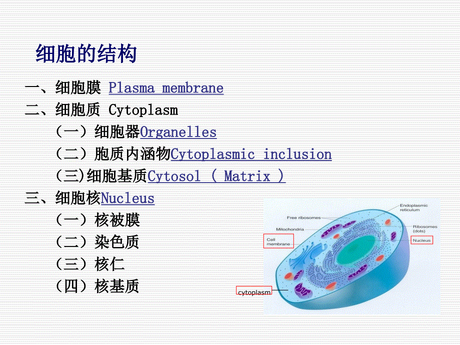 组织胚胎学：细胞_第4页