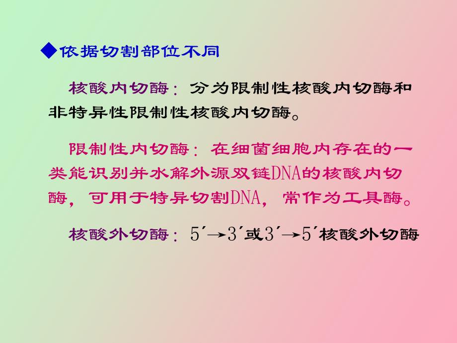 生物化学核酸的降解与核苷酸代谢_第4页