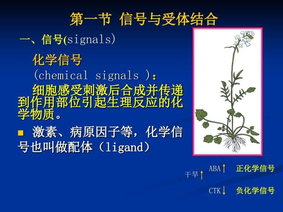 植物生理学信号转导_第5页