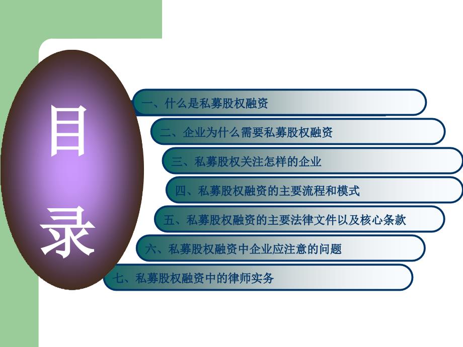 企业私募股权融资法律操作实务担任融资企业法律问_第2页