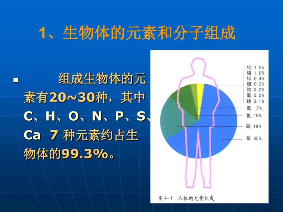 生物化学基础_第3页