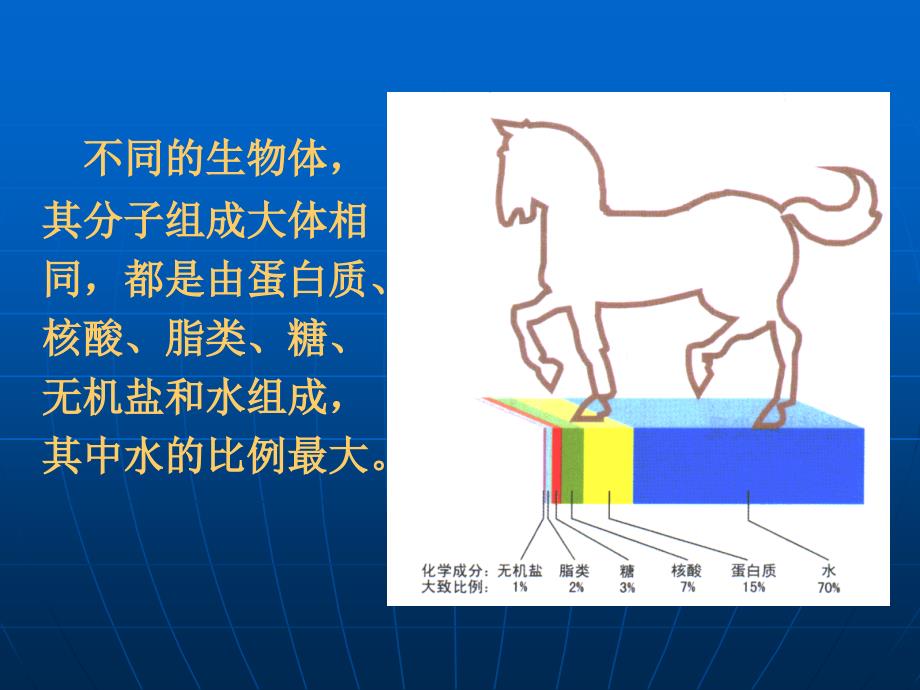 生物化学基础_第4页