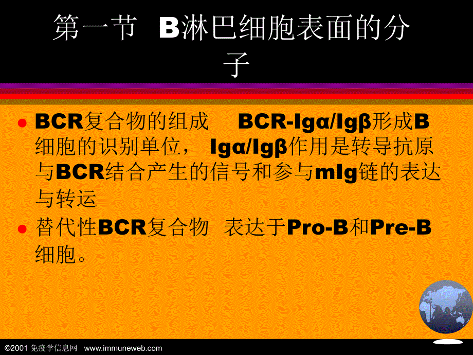 第十一章适应性免疫应答B淋巴细胞_第3页