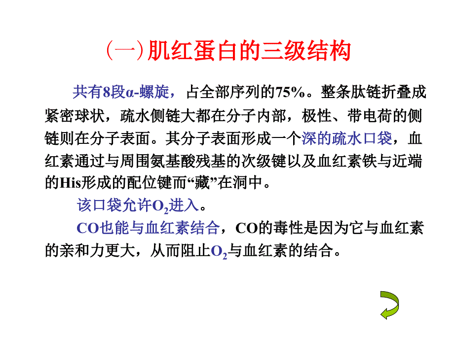 蛋白质化学-蛋白质分子结构与功能的关系_第3页