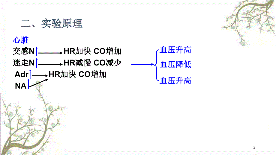 心血管活动的调节课件_第3页