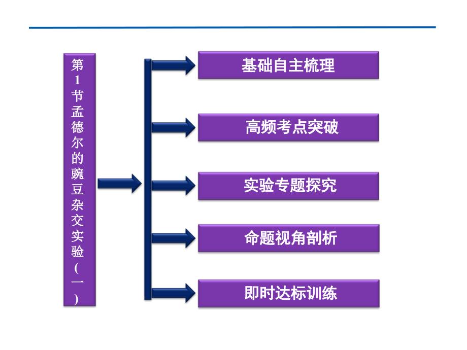 孟德尔的豌豆杂交实验(一)_第2页