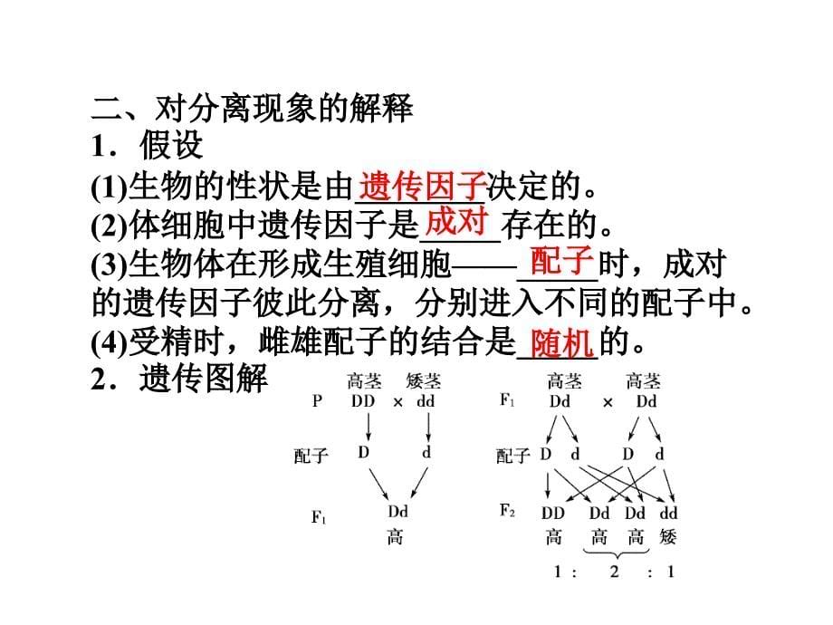 孟德尔的豌豆杂交实验(一)_第5页