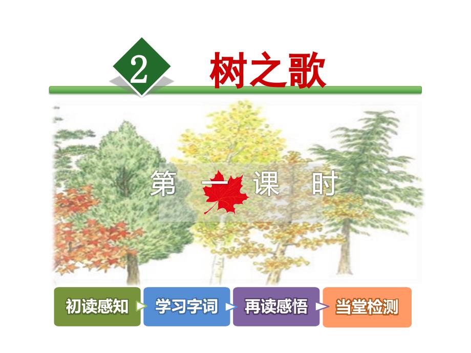 树之歌课件.ppt_第2页