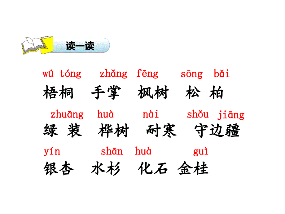 树之歌课件.ppt_第4页