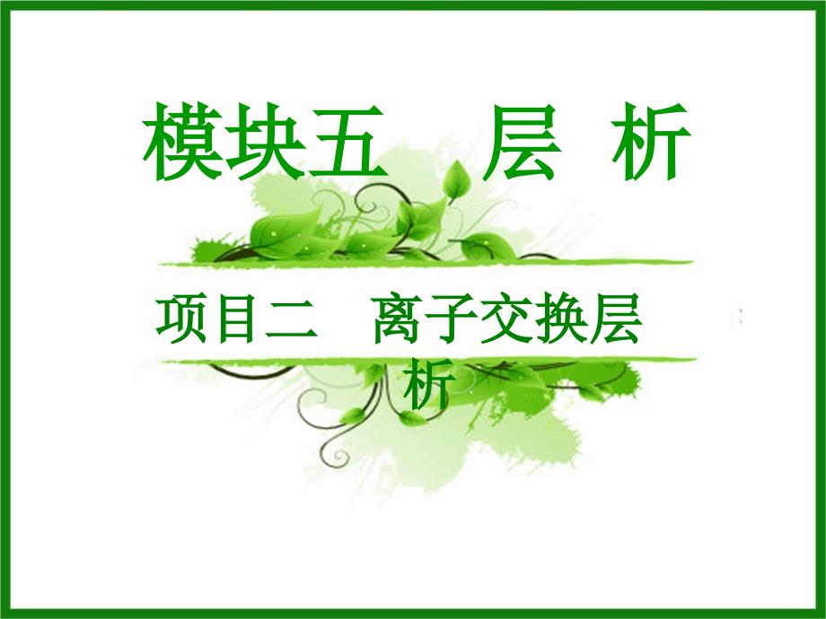 《离子交换层析》课件_第1页