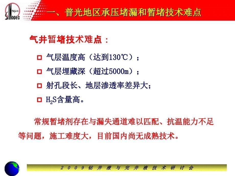 耐温135℃凝胶堵漏技术研究及其在普光气田的应用_第5页