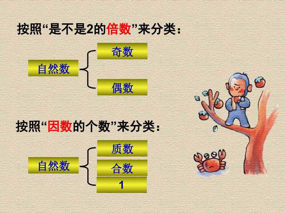 质数和合数练习课课件（3）_第4页