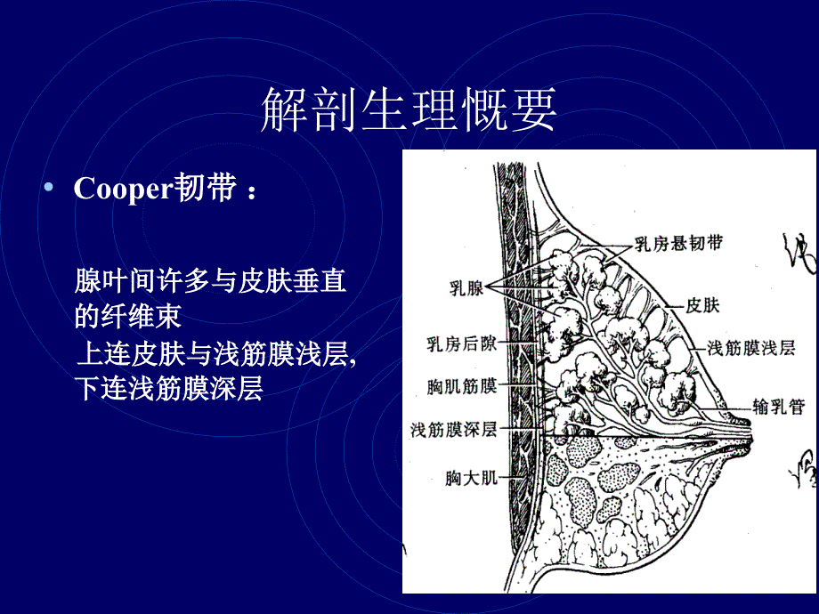 乳腺疾病ppt课件_第4页