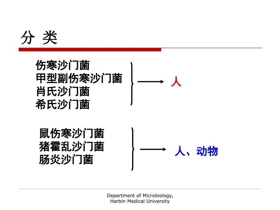 第十六章沙门菌_第5页