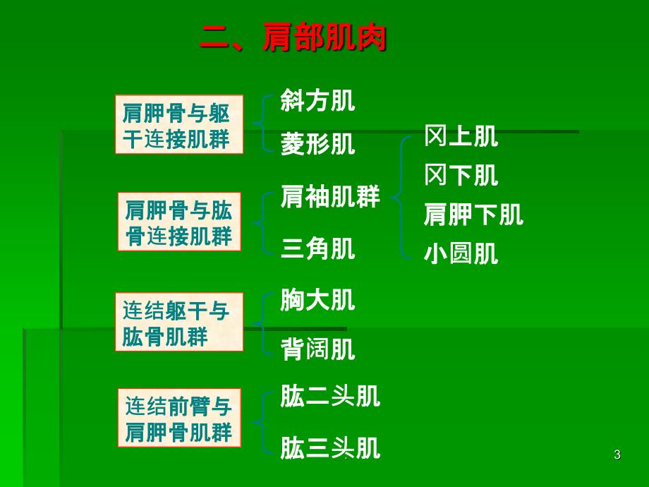 肩部损伤ppt课件_第3页