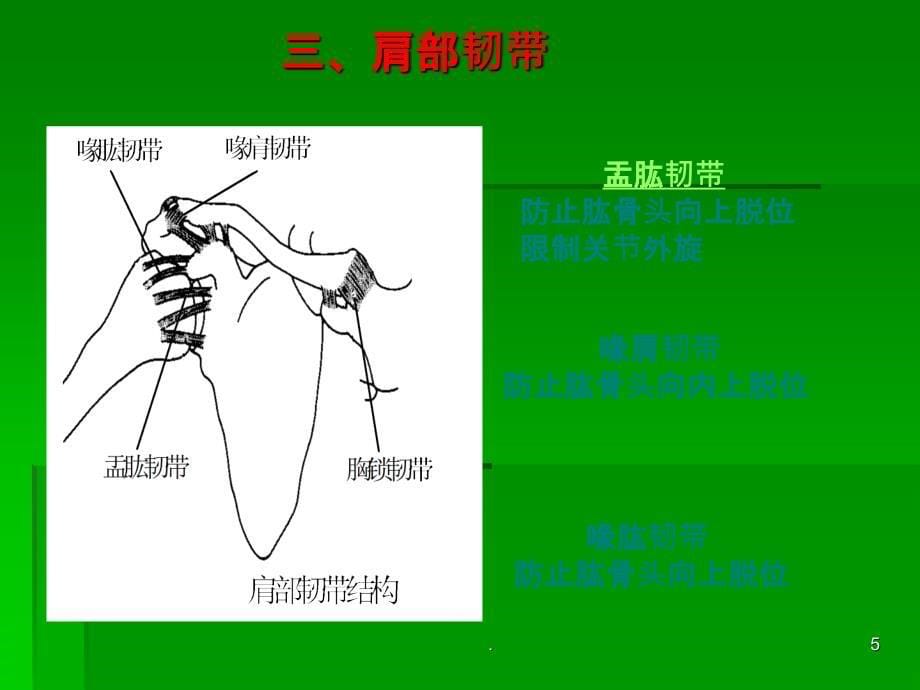 肩部损伤ppt课件_第5页