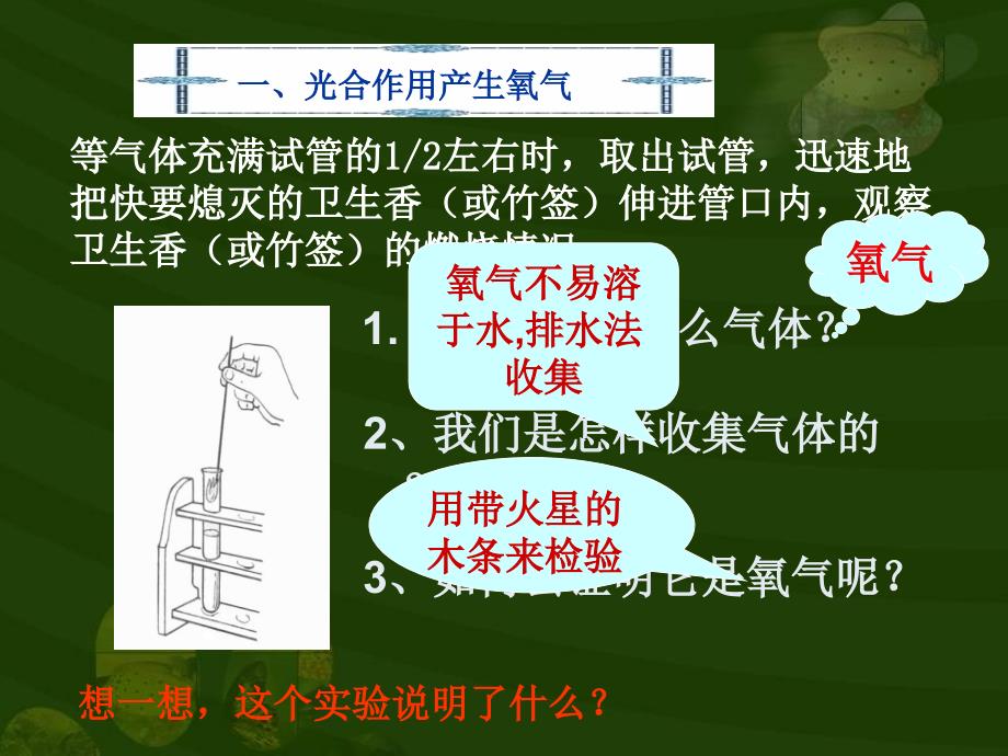 绿色植物与生物圈的碳——氧平衡_第3页