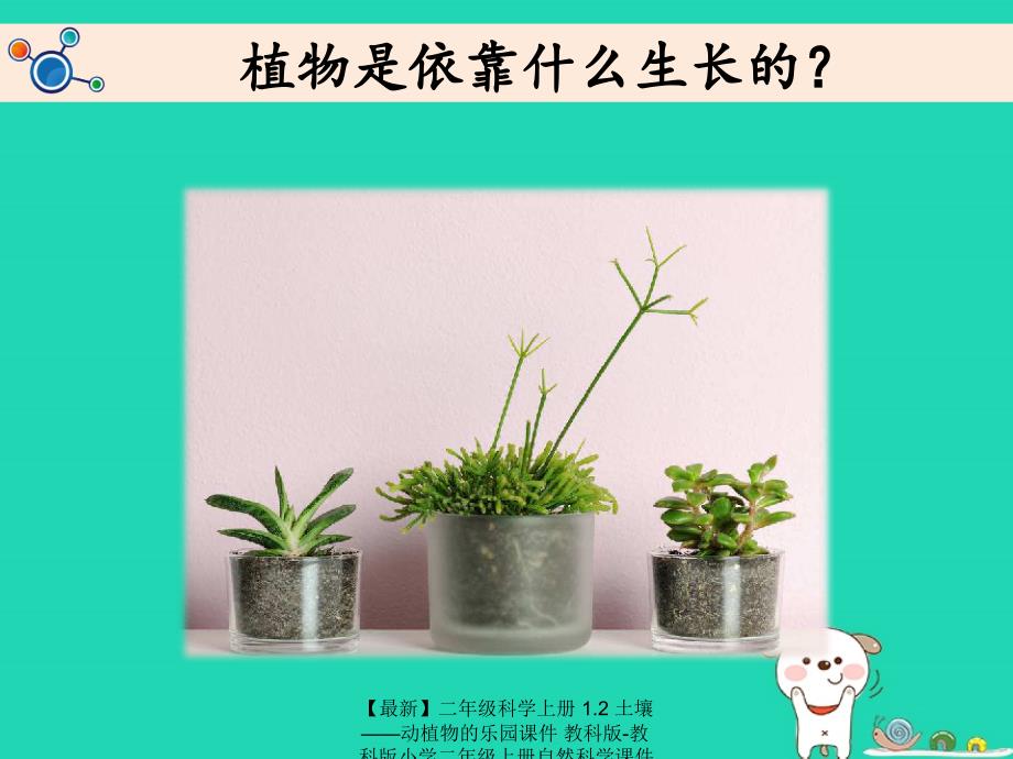 最新二年级科学上册1.2土壤动植物的乐园课件教科版教科版小学二年级上册自然科学课件_第2页