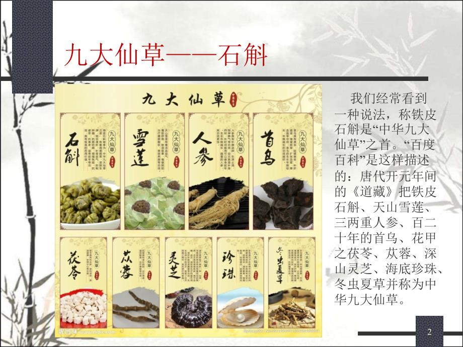 铁皮石斛的介绍课件_第2页