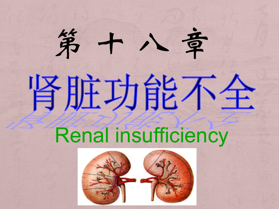 肾功能障碍_第1页