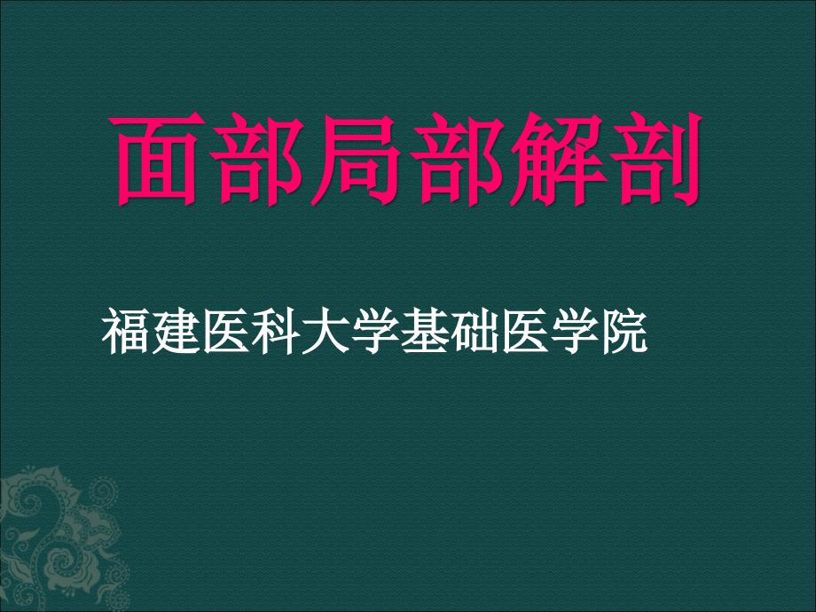 面部局部解剖ppt课件_第1页