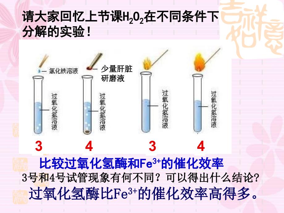 五章细的能量供应和利用_第2页