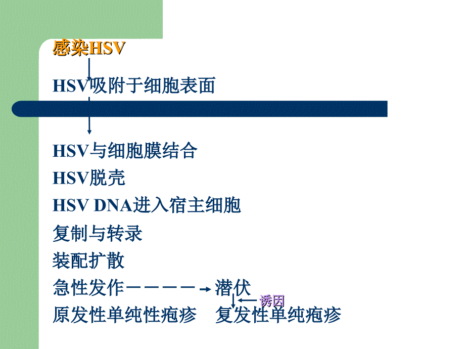 口腔粘膜感染性疾病_第3页