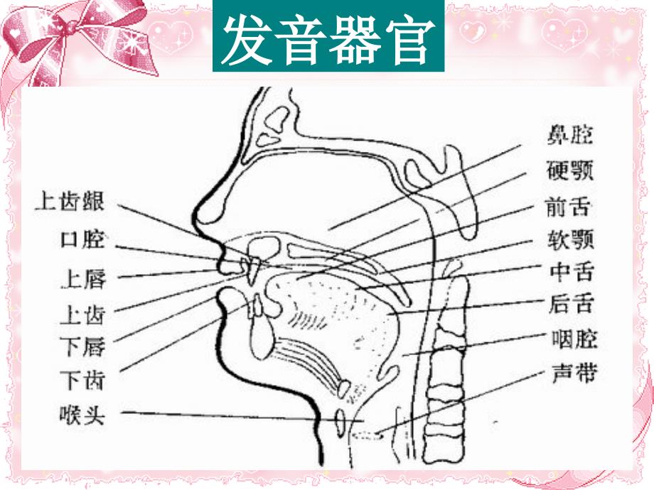 英语音标学习课件【适用于初中、高中】最终版_第4页