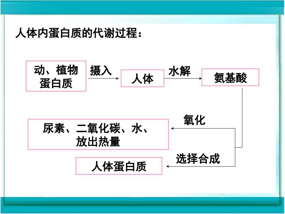 课题1　人类重要的营养物质3精品教育_第3页