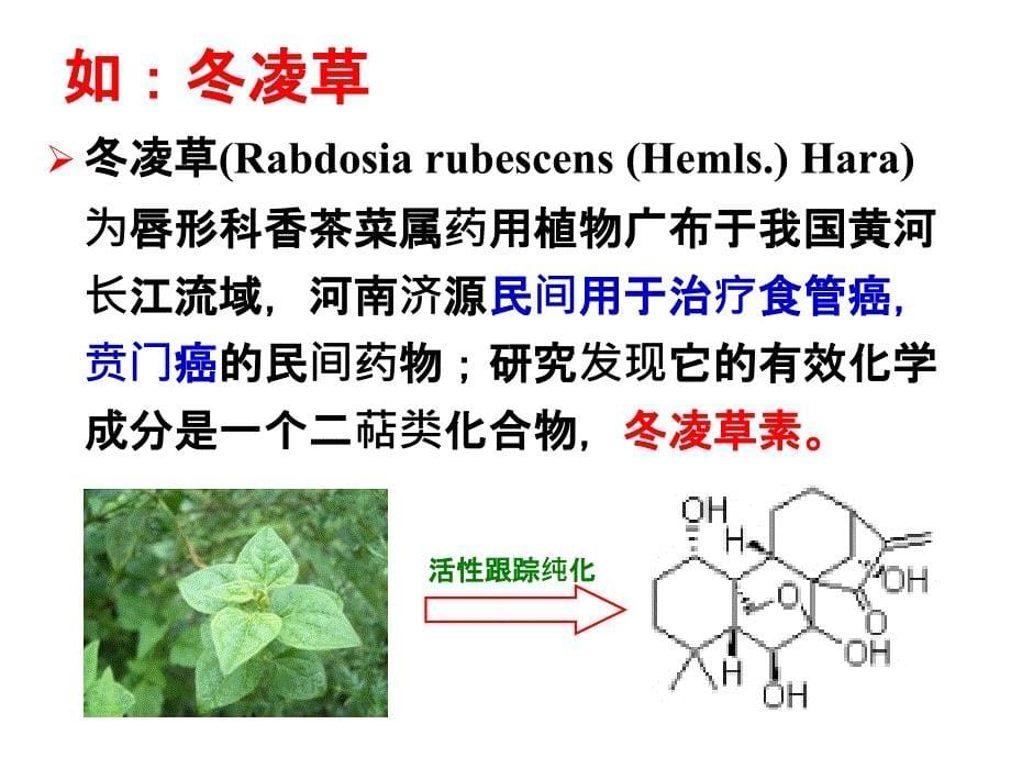 天然产物提取方法和技术_第5页