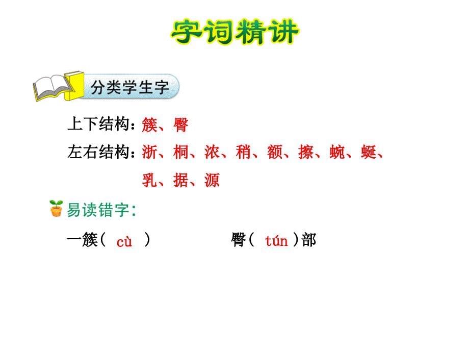 四年级下册语文课件-记金华的双龙洞∣人教新课标 (共40张PPT)_第5页