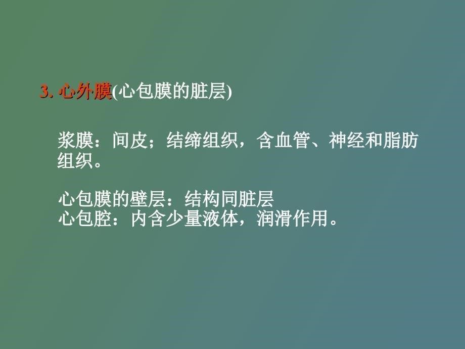 心血管系统解剖学_第5页