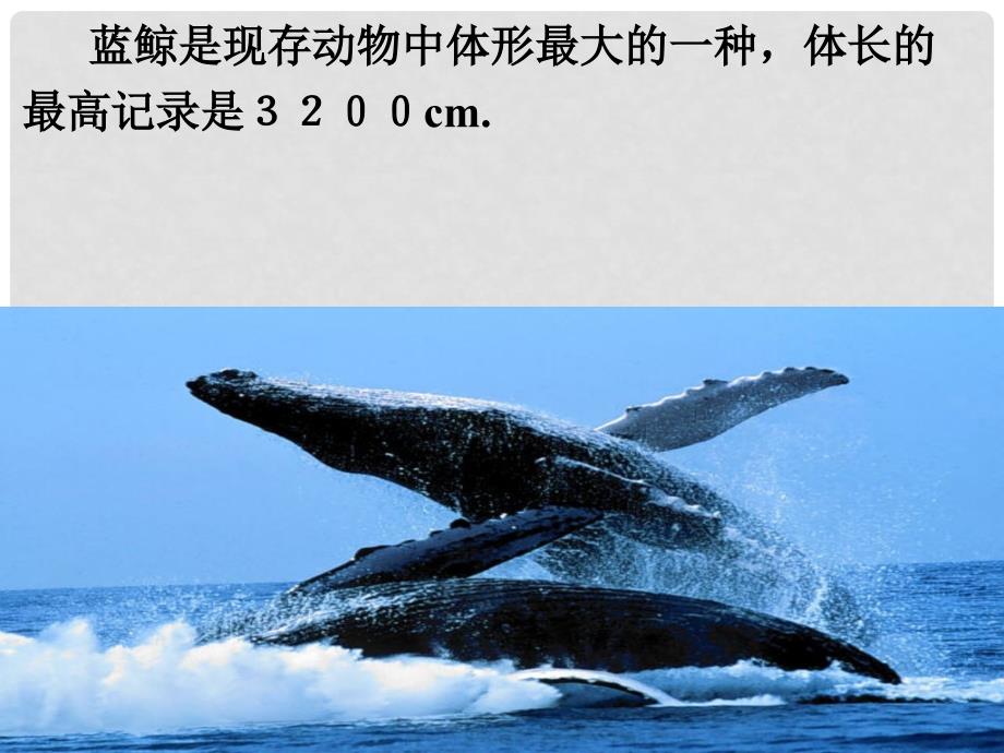 浙江省杭州市萧山区党湾镇初级中学八年级数学上册《7.5 一次函数的简单应用》课件（1）_第4页