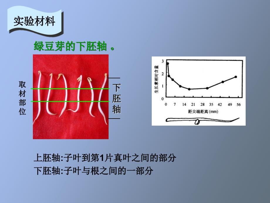 吲哚乙酸氧化酶活性的测定_第4页