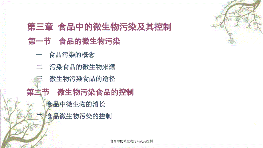 食品中的微生物污染及其控制课件_第1页