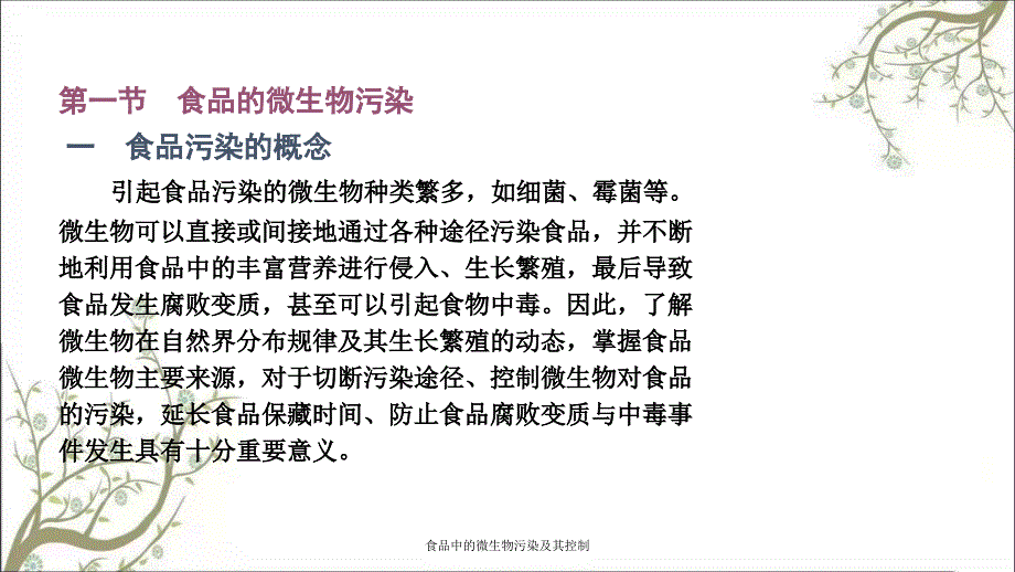 食品中的微生物污染及其控制课件_第3页