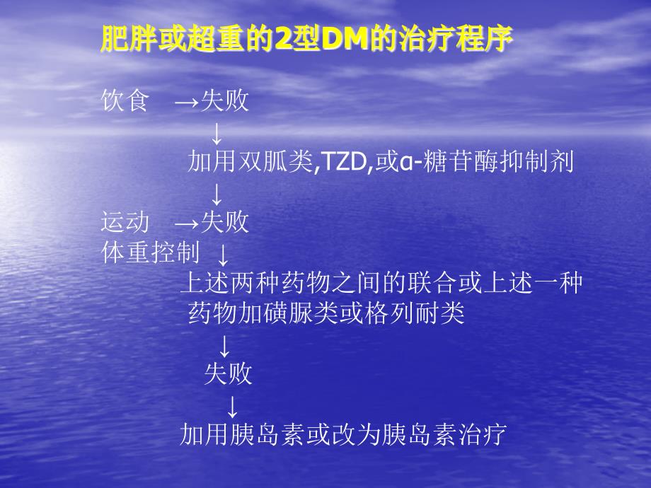 2型糖尿病的胰岛素治疗_第3页