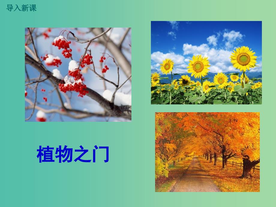 七年级语文上册 5《为你打开一扇门》课件 苏教版.ppt_第2页